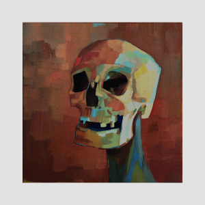 Skull study