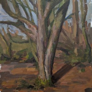 Golden Acre Tree