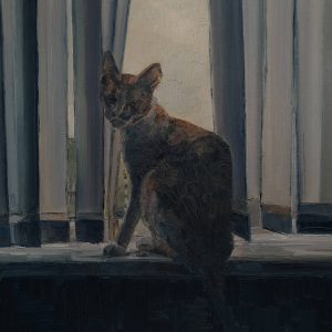 Window
